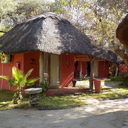 Jump Street Chalets Maun Exteriér fotografie