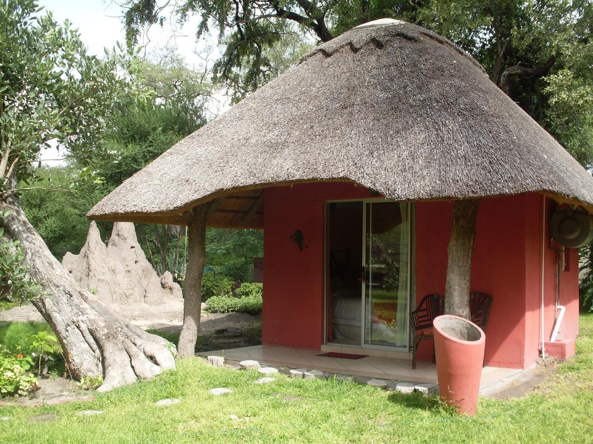 Jump Street Chalets Maun Exteriér fotografie
