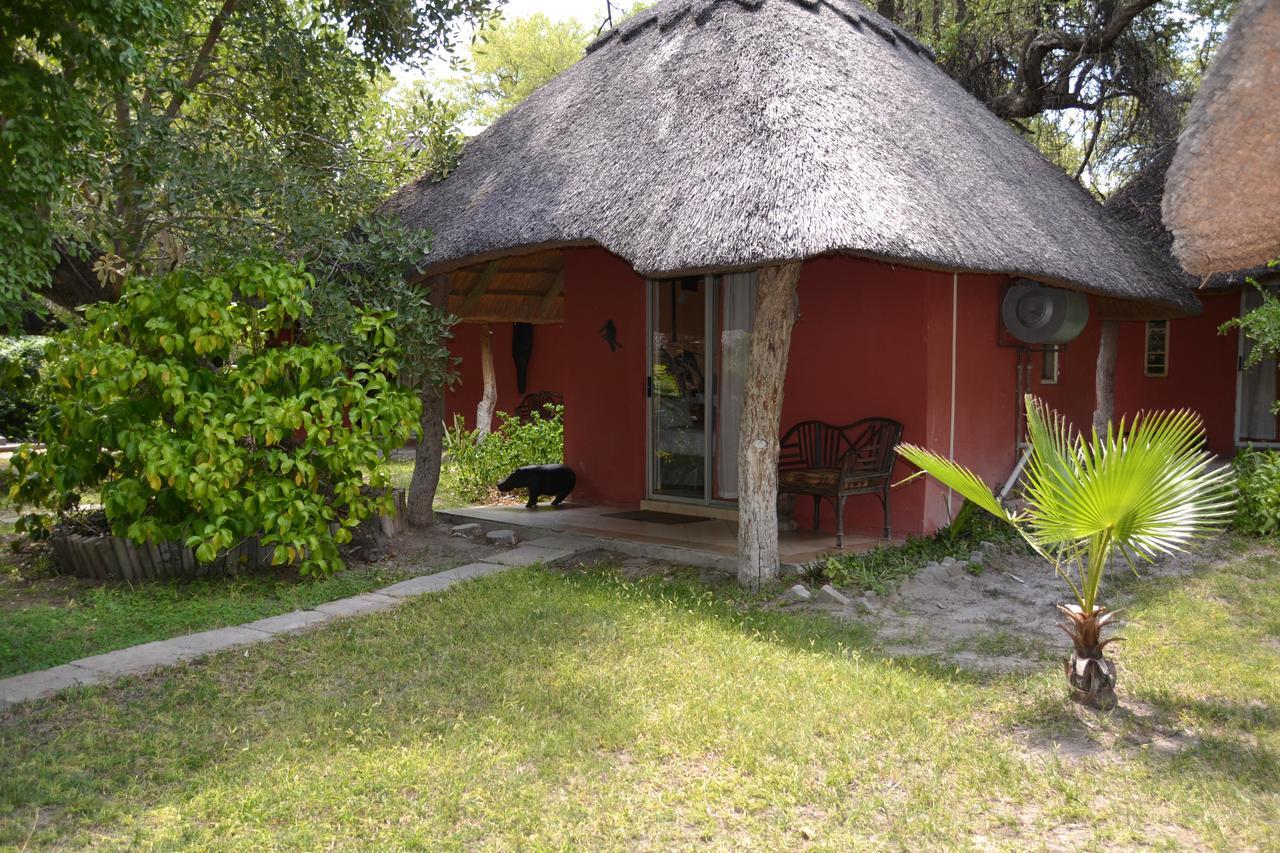 Jump Street Chalets Maun Exteriér fotografie